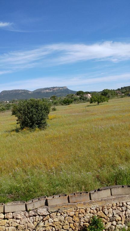 S'hort De N'andreu Lantställe